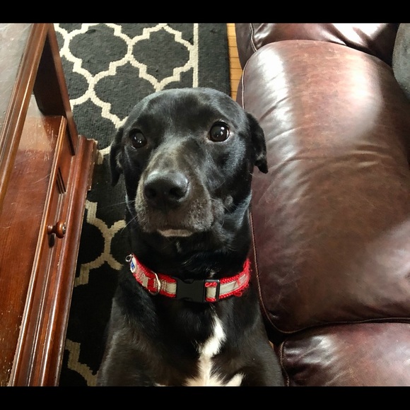 Meet your Posher, Kara - Picture 6 of 7